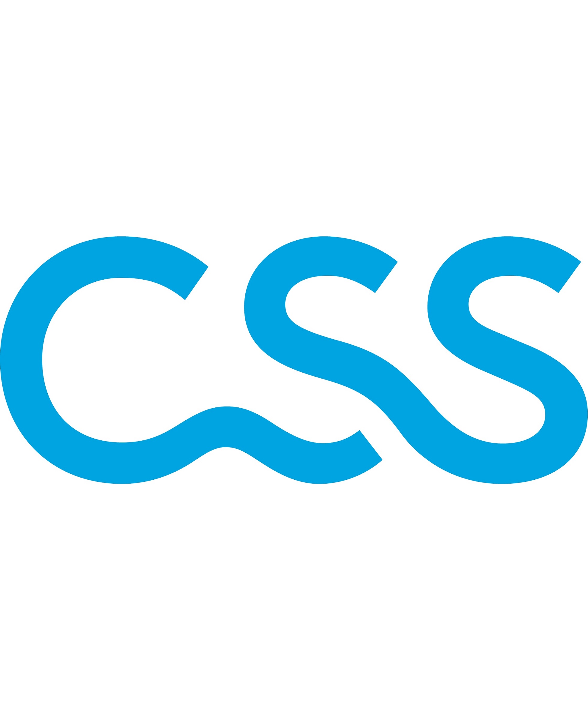 CSS